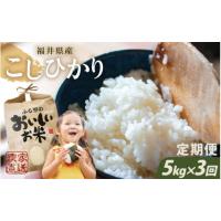 ふるさと納税 福井県 坂井市 【令和5年産】【3ヶ月連続お届け】本原農園のまごころコメたコシヒカリ 5kg × 3回 計15kg（白米） [A-8982_01] 白米 | ふるさとチョイス