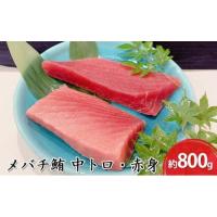 ふるさと納税 マグロ 静岡県 静岡市 河岸の市 メバチ鮪 中トロ 約200g×2・赤身冊 約200g×2 セット（丸森） 海の幸 配送不可：離島 | ふるさとチョイス
