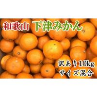 ふるさと納税 果物類 みかん 和歌山県 新宮市  訳あり 和歌山下津みかん約10kgご家庭用向け(サイズ混合) 2026年11月中旬〜2027年1月中旬頃に順次発送 tec885A | ふるさとチョイス