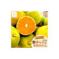 ふるさと納税 果物類 みかん 和歌山県 和歌山市 《先行予約・2026年10月〜発送》ご家庭用 ゆら早生 有田みかん 5kg［訳あり］［MS27］ | ふるさとチョイス