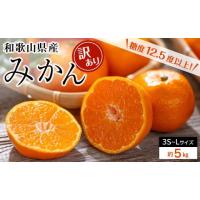 ふるさと納税 果物類 みかん 和歌山県 九度山町 和歌山県産 糖度 12.5度以上 訳あり みかん 5kg 3S 〜 Lサイズ混合［MG57］ | ふるさとチョイス