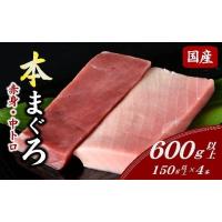 ふるさと納税 マグロ 三重県 松阪市 国産本まぐろ 中トロ 赤身 冷凍 短冊 セット 600g以上 ( まぐろ マグロ 鮪 本まぐろ 刺身 刺し身 お刺身 冷凍 国産まぐろ … | ふるさとチョイス