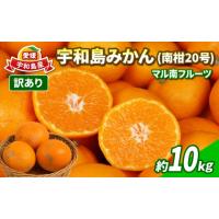 ふるさと納税 果物類 みかん 愛媛県 宇和島市 蜜柑 訳あり みかん 南柑20号 約10kg マル南フルーツ わけあり 先行予約 温州みかん 温州蜜柑 愛媛みかん 愛媛ミ… | ふるさとチョイス