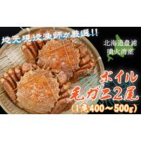 ふるさと納税 北海道 豊浦町 【地元現役漁師が厳選！！】ボイル・毛ガニ2尾（1尾400〜500g）北海道 豊浦 噴火湾 【 ふるさと納税 人気 おすすめ ランキング 魚… | ふるさとチョイス