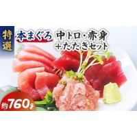 ふるさと納税 マグロ 神奈川県 三浦市 特選本まぐろ 中トロ赤身＋たたきセット　M006-013 | ふるさとチョイス