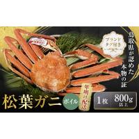 ふるさと納税 カニ 松葉ガニ 鳥取県 琴浦町  先行予約 ブランドタグ付き 松葉ガニ（ボイル）1枚（800g以上） 年明け配送 松葉がに 松葉蟹 ズワイガニ 蟹 カニ … | ふるさとチョイス
