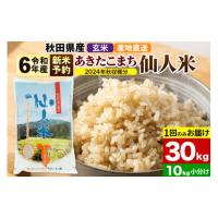 ふるさと納税 秋田県 東成瀬村 ※令和6年産 新米予約※《1回のみお届け》令和6年産 あきたこまち 秋田県産「仙人米」玄米 30kg（10kg×3袋）【2024年秋ごろ出… | ふるさとチョイス