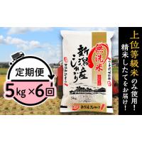 ふるさと納税 無洗米 新潟県 胎内市 米 無洗米 5kg 定期便 6回 6ヶ月 新潟 コシヒカリ 精米 白米 お米 新潟こしひかり 新潟県産コシヒカリ 令和7年産 31-M56 … | ふるさとチョイス