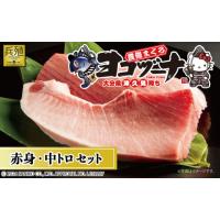 ふるさと納税 マグロ 大分県 津久見市 豊後まぐろ ヨコヅーナ 赤身400ｇ 中トロ400g 　本鮪 本マグロ 海鮮丼 刺し身 盛り合わせ 冷凍 魚の刺身 大分県産 九州… | ふるさとチョイス
