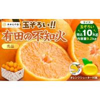 ふるさと納税 みかん・柑橘類 デコポン 和歌山県 有田川町 不知火 (しらぬい) 秀品 玉ぞろい 箱込 10kg (内容量約9.2kg) 和歌山県産 産地直送［みかんの会］ | ふるさとチョイス