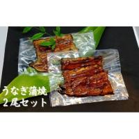 ふるさと納税 神奈川県 茅ヶ崎市 【三河産 鰻】うなぎ蒲焼セット2尾（活魚1本200g×2） | ふるさとチョイス