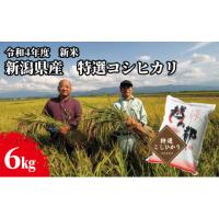 ふるさと納税 新潟県 新潟市 新潟県産 コシヒカリ 6kg 米 精米 白米 こめ コメ お米 おこめ こしひかり 新潟 新潟県 | ふるさとチョイス