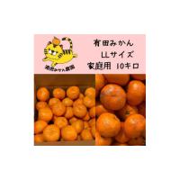 ふるさと納税 果物類 みかん 和歌山県 有田川町 12／25までにご入金確認分は年内発送確定 温州みかん 家庭用 箱込み 10kg（2Lサイズ指定） 大きいミカンが好き… | ふるさとチョイス