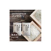 ふるさと納税 岩手県 奥州市 奥州市産コシヒカリ  無洗米 令和5年産 10kg（5kg×2）【第三ライスセンター】 おこめ ごはん ブランド米 精米 白米 | ふるさとチョイス