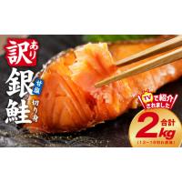 ふるさと納税 魚貝類 鮭 大阪府 泉佐野市  訳あり 銀鮭 切り身 2kg(約18切れ) 規格外 甘塩 バラ凍結 海鮮 魚介 鮭 さけ しゃけ お弁当 朝食 おかず 簡単調理 … | ふるさとチョイス