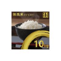 ふるさと納税 千葉県 いすみ市 ＜令和5年産＞コシヒカリ 10kg 無洗米【1326384】 | ふるさとチョイス