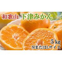 ふるさと納税 みかん・柑橘類 和歌山県 美浜町  産直・秀品 和歌山下津みかん約5kg（MサイズまたはLサイズのいずれかをお届け） | ふるさとチョイス
