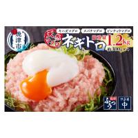 ふるさと納税 マグロ 静岡県 焼津市 a10-912　天然まぐろ ネギトロ 約1.2kg | ふるさとチョイス