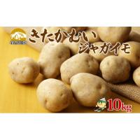 きたかむい（じゃがいも）｜野菜 | 食品 の商品一覧 通販 - Yahoo