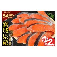 ふるさと納税 魚貝類 鮭 宮城県 気仙沼市 宮城県産 熟成 銀鮭 切身 約2kg バラ冷凍で使いやすい 大容量 訳あり 国産 鮭 海鮮 魚介類 国産 さけ 鮭 甘口 サケ … | ふるさとチョイス