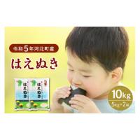 ふるさと納税 山形県 河北町 【令和5年産米】2024年8月中旬発送 はえぬき10kg（5kg×2袋）山形県産 【JAさがえ西村山】 2024年8月中旬発送 | ふるさとチョイス