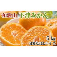 ふるさと納税 果物類 みかん 和歌山県 印南町 ［産直・秀品］和歌山下津みかん約5kg(MサイズまたはLサイズのいずれかをお届け) 2026年11月中旬頃より順次発送… | ふるさとチョイス