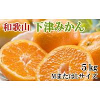 ふるさと納税 果物類 みかん 和歌山県 海南市 ［産直・秀品］和歌山下津みかん約5kg(MサイズまたはLサイズのいずれかをお届け) 2026年11月中旬頃より順次発送… | ふるさとチョイス