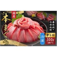 ふるさと納税 マグロ 福井県 福井市  最新鋭の冷凍技術 刺身用 本まぐろ 中トロ 300g（柵どり） A-107006 | ふるさとチョイス