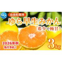 ふるさと納税 果物類 みかん 和歌山県 由良町  先行予約 2026年秋・発送分 ゆら早生 みかん 3kg 2026年10月中旬頃より順次発送予定 ／ 和歌山県 柑橘 みかん … | ふるさとチョイス