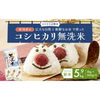 ふるさと納税 新潟県 新潟市 無洗米新潟産コシヒカリセット 5kg ＋ 300g×3 米 産地直送 お米 こめ おこめ コメ 無洗米 コシヒカリ こしひかり セット ご飯 ご… | ふるさとチョイス