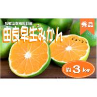 ふるさと納税 果物類 みかん 和歌山県 古座川町  秀品 和歌山由良町産 由良早生みかん 約3kg サイズおまかせ(Ｌ〜2Ｓ) いずれかお届け sml107C | ふるさとチョイス
