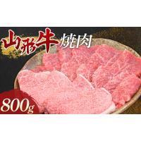 ふるさと納税 山形県 新庄市 山形牛 焼肉 800g 牛肉 肉 F3S-1680 | ふるさとチョイス