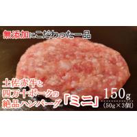 ふるさと納税 高知県 室戸市 ハンバーガー屋の本気ミニハンバーグ150ｇ（50ｇ×3個） ＜ 国産 高知県産 牛肉 豚肉 ブランド肉 希少 土佐あかうし 四万十ポーク… | ふるさとチョイス