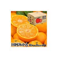 ふるさと納税 果物類 みかん 和歌山県 美浜町 田村みかん／9kg　秀品 大玉サイズ ｜湯浅町田村地区産 産地直送 最高級プレミアムブランドの田村ミカン 紀伊国… | ふるさとチョイス