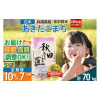 ふるさと納税 秋田県 仙北市 【白米】＜令和6年産 新米予約＞ 《定期便7ヶ月》秋田県産 あきたこまち 10kg (5kg×2袋)×7回 10キロ お米【2024年秋 収穫後に順… | ふるさとチョイス