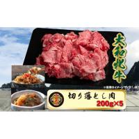 ふるさと納税 牛肉 焼肉・バーベキュー 奈良県 宇陀市 (冷凍) 大和牝牛 切り落とし肉 200g×5 YMKO1 ／牛丼 肉じゃが 焼肉 バーベキュー アウトドア キャンプ … | ふるさとチョイス