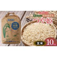 ふるさと納税 山形県 鶴岡市 【令和5年産】 斎藤農場の特別栽培米 つや姫 玄米 10kg （5kg×2） A55-002 | ふるさとチョイス