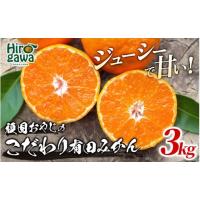 ふるさと納税 果物類 みかん 和歌山県 広川町 頑固オヤジの 有田 みかん 3kg 贈答用 ／ 温州みかん 有田みかん 甘い 贈答 和歌山 柑橘 2026年11月中旬〜2027年… | ふるさとチョイス