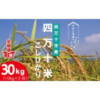 ふるさと納税 高知県 四万十市 23-946．【令和5年産・3回定期便】四万十産 四万十米（コシヒカリ）10kg（5kg×2袋）×3回（計30kg） | ふるさとチョイス