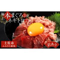 ふるさと納税 マグロ 高知県 土佐市 訳あり 本鮪端材切り落とし・ネギトロセット 本鮪切落し100ｇ×3・ネギトロ70ｇ×2 本マグロ まぐろ マグロ ねぎとろ ネギ… | ふるさとチョイス