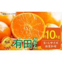 ふるさと納税 果物類 みかん 和歌山県 湯浅町 DZ6200_01_ 2026年1月発送 秀品 有田みかん 和歌山県産 S〜Lサイズ 大きさお任せ 10kg 2025年1月発送 | ふるさとチョイス