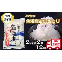 ふるさと納税 新潟県 小千谷市 JA118P113 ＜令和5年産＞ 魚沼産コシヒカリ定期便 2kg2袋×12回（12か月連続お届け）（JA魚沼）白米 魚沼 米 定期便 | ふるさとチョイス