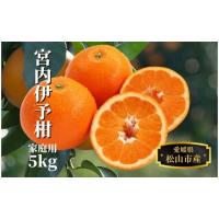 ふるさと納税 みかん・柑橘類 愛媛県 松山市  宮内伊予柑 家庭用 約5kg 2026年2月~3月中旬頃発送 みかん 柑橘 フルーツ 伊予柑 果物 愛媛 松山 | ふるさとチョイス