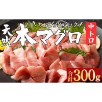 ふるさと納税 寿司 高知県 室戸市 天然本マグロ 中とろ 切落し お手軽 ちょこっとパック 60g×5パック 合計300g 食べきりサイズ 本マグロ 中とろ 切り落とし … | ふるさとチョイス