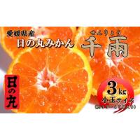 ふるさと納税 果物類 みかん 愛媛県 八幡浜市 日の丸みかん「千兩」3kg　約35〜45個／Sまたは2Sサイズ／光センサー使用 C79-8 1452031 | ふるさとチョイス
