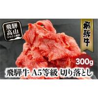 ふるさと納税 牛肉 すき焼き 岐阜県 高山市  5月発送 飛騨牛 A5等級 切り落とし 小間切れ A5ランク A5 5等級 肉 黒毛和牛 ブランド牛 300g 飛騨高山 ながせ食… | ふるさとチョイス