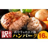 ふるさと納税 北海道 浜中町 【訳あり】浜中牛＆ホエイ豚ハンバーグ(16個)_H0019-001 | ふるさとチョイス