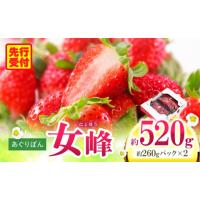 ふるさと納税 いちご 香川県 三木町 あぐりぼん　いちご「女峰」　約260gパック×2個（約520g）|いちご 果物 フルーツ デザート ストロベリー 果肉 スイーツ … | ふるさとチョイス