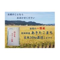 ふるさと納税 秋田県 大仙市 令和5年産 秋田県産あきたこまち 一等米 農家直送 玄米30kg | ふるさとチョイス