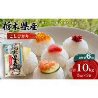 ふるさと納税 栃木県 真岡市 【定期便6回】栃木県産 こしひかり 10kg×6回 真岡市 栃木県 送料無料 | ふるさとチョイス